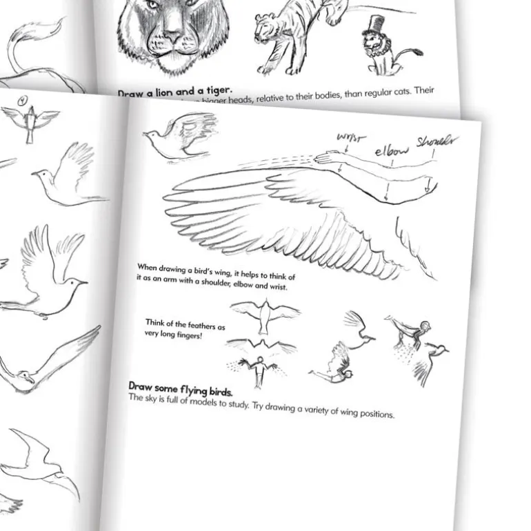 Artbook: Learn to Draw Animals - For Kids Aged 7 and Up