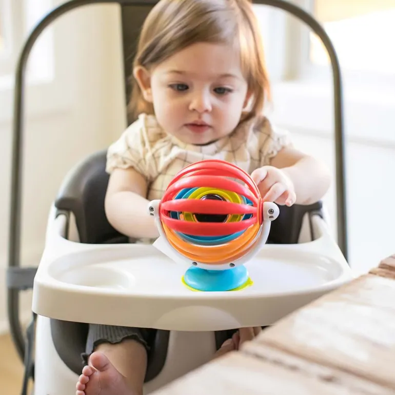 Baby Einstein Baby Toys, Sticky Spinner