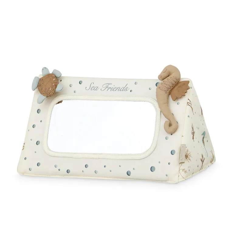 Cam Cam Activity Toy, Tummy Time Mirror - Sea Garden