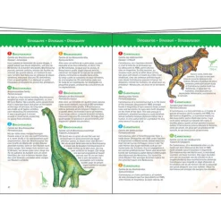 Djeco Puzzle, Dinosaur - 100 Pieces + Book