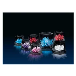 4M Crystal Growing Experiment Kit