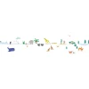 Mimi Lou Wall Sticker Border, Around the World