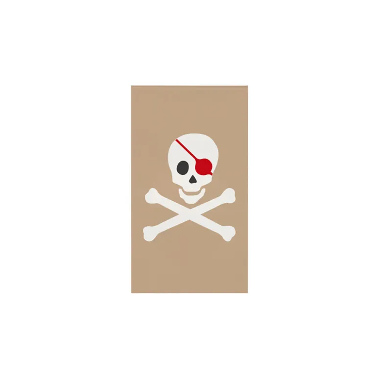 My Little Day Mini Notebook, Pirate