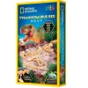 National Geographic Excavation Kit - Tyrannosaurus Rex