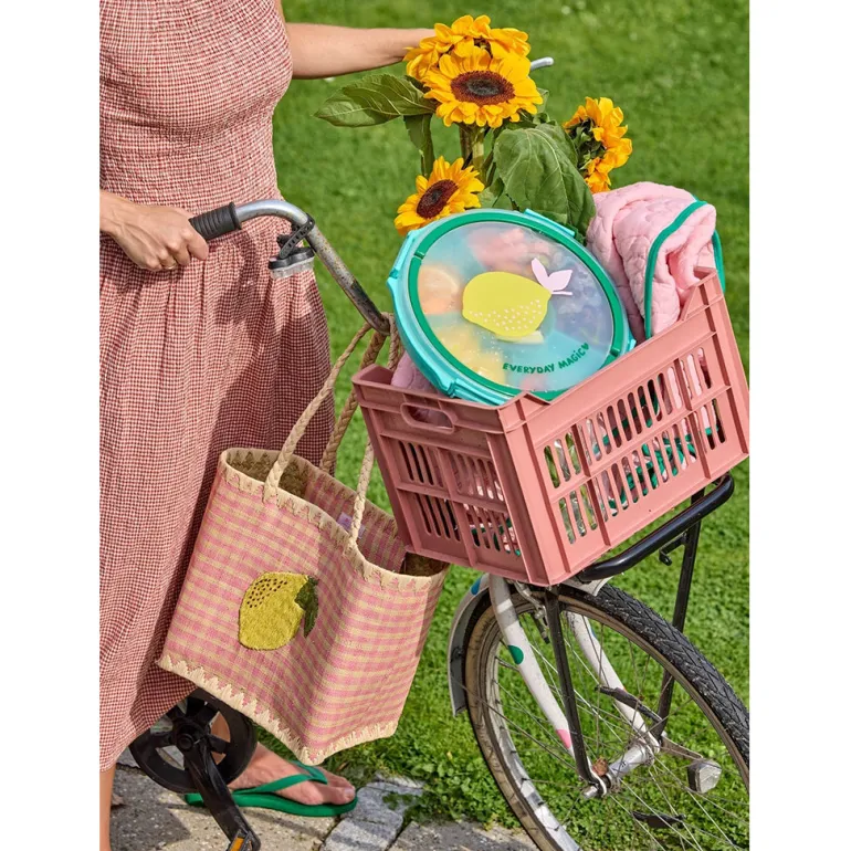 Rice Snack Tray with Lid, 6-Piece - Mint