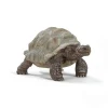 Schleich Giant Tortoise