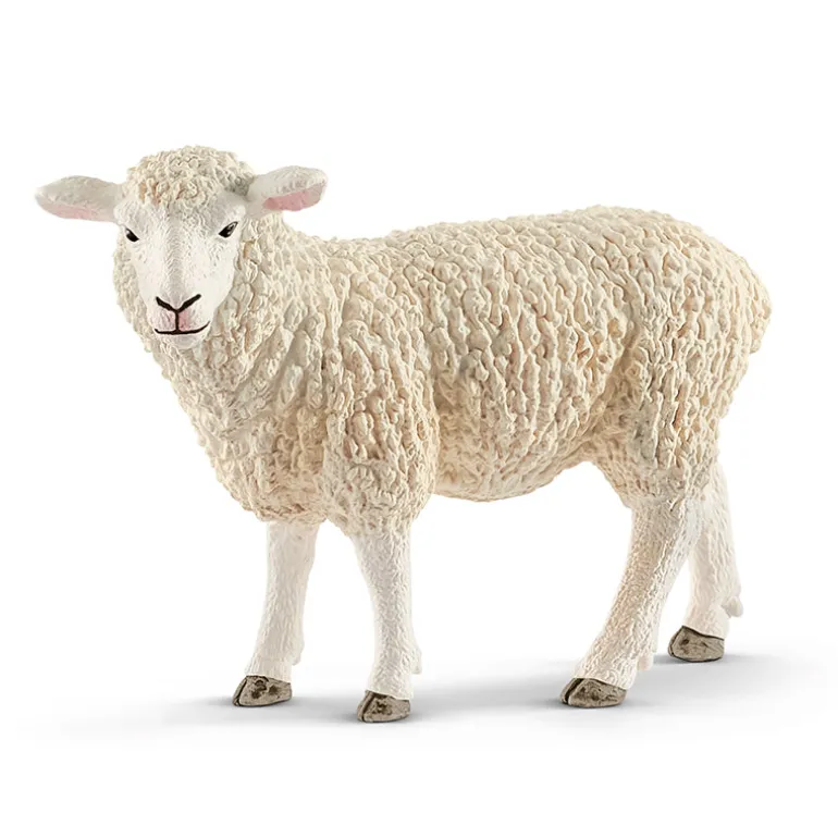 Schleich Sheep
