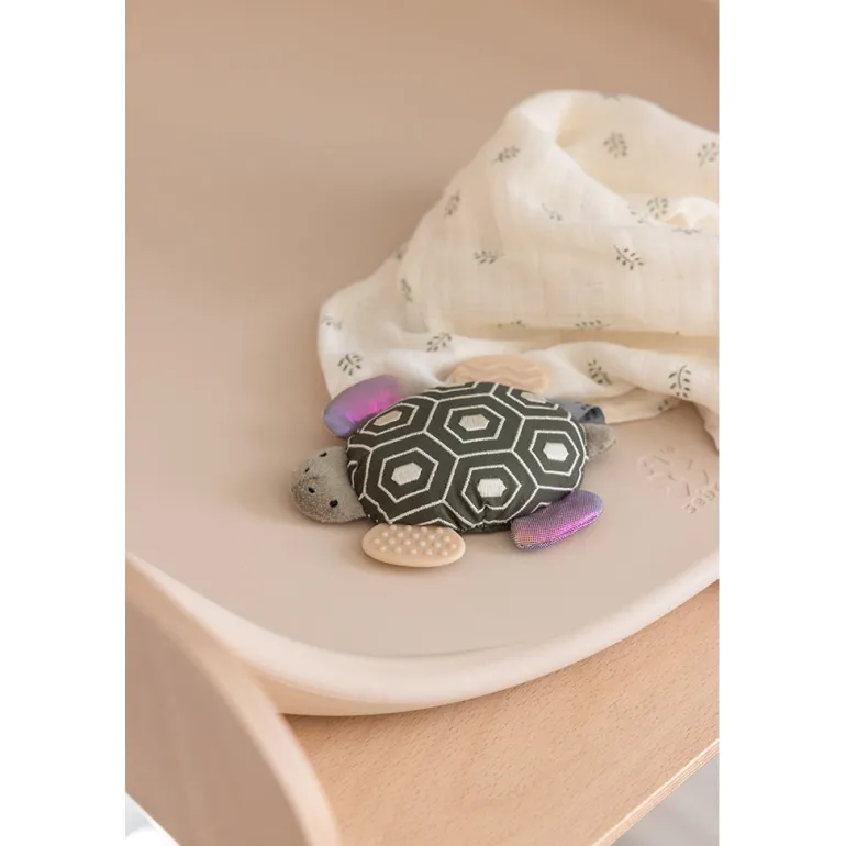 Sebra Activity Rattle with Mirror, Turbo the Turtle