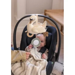 Sebra Activity Toy, Swan