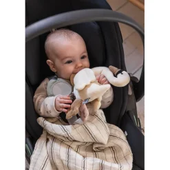 Sebra Activity Toy, Swan