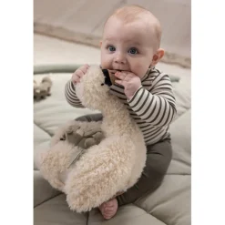 Sebra Activity Toy, Swan