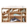 Tender Leaf, Wooden Animals in Box - 10 Arctic Animals