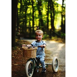 Trybike Woven Basket for Bicycle