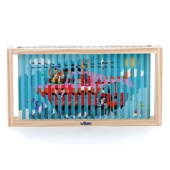 Vilac Agamograph Puzzle with 20 Pieces, 4-Dimensional Design - Transport
